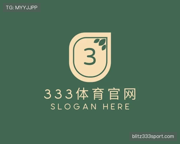 解读333体育